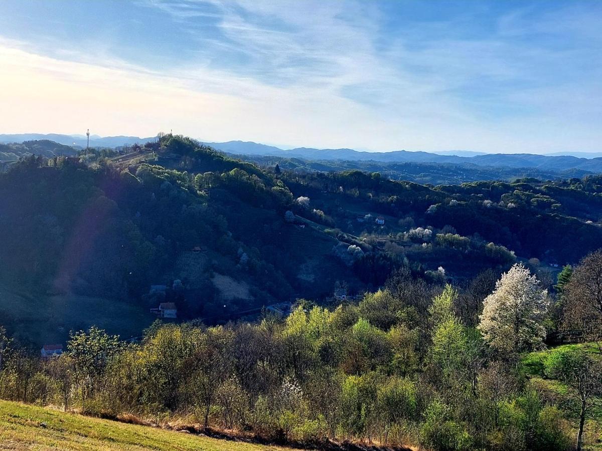 Kuca Za Odmor Freya Villa Krapinske Toplice Exterior foto