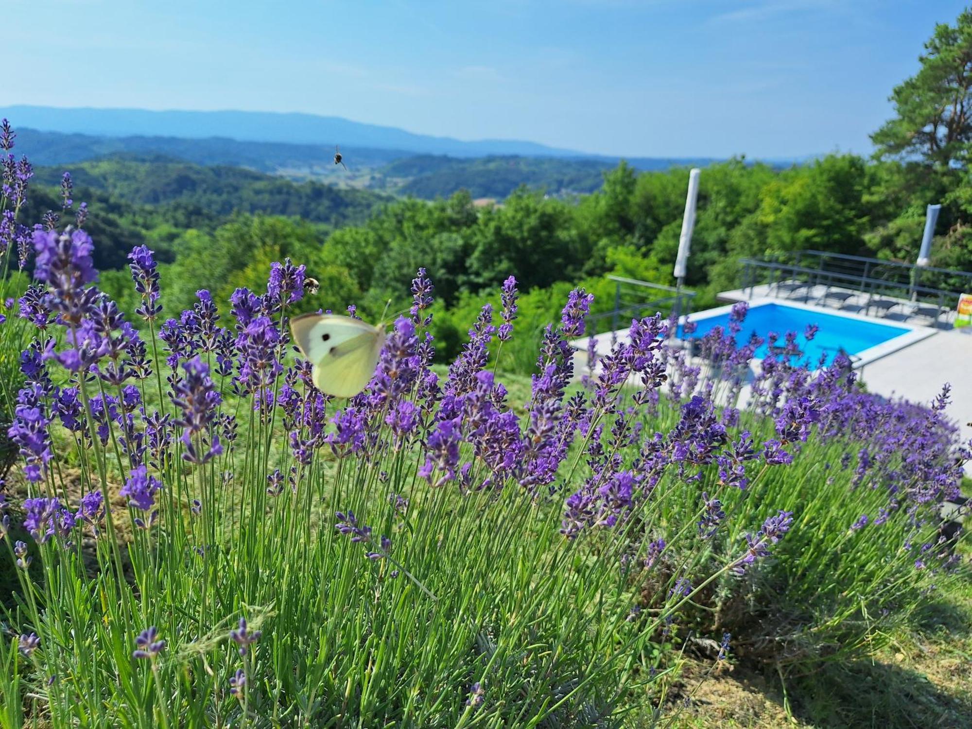 Kuca Za Odmor Freya Villa Krapinske Toplice Exterior foto