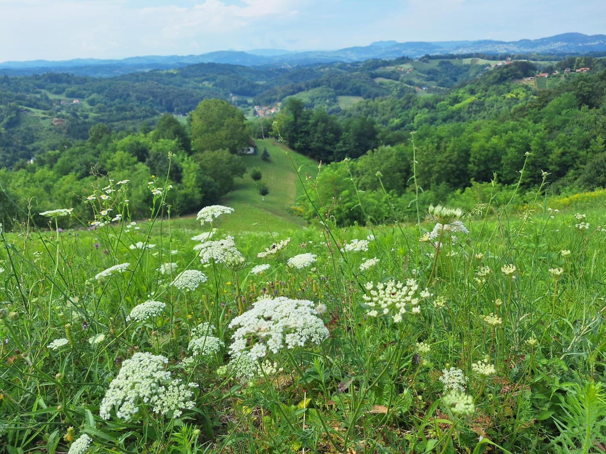 Kuca Za Odmor Freya Villa Krapinske Toplice Cameră foto