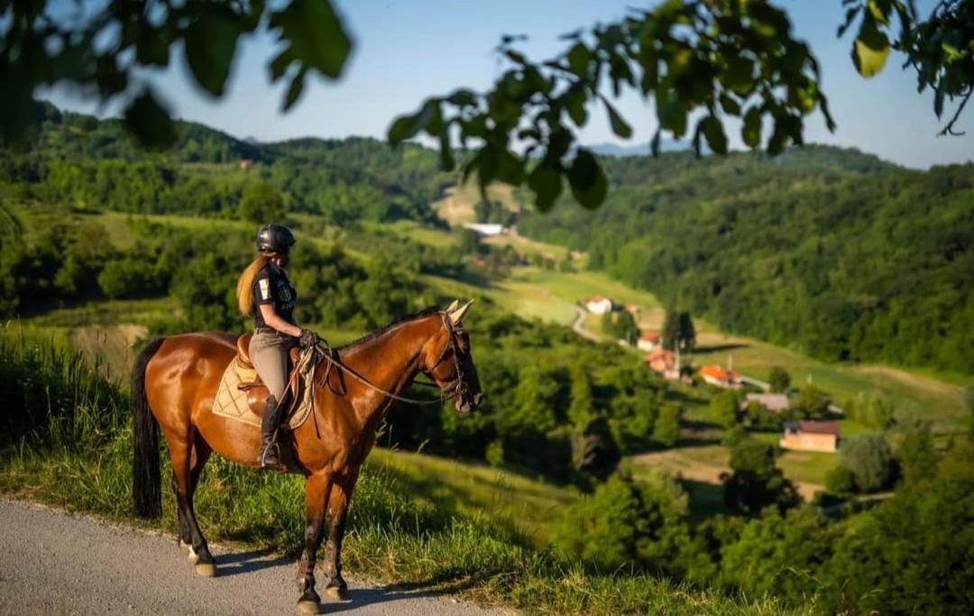 Kuca Za Odmor Freya Villa Krapinske Toplice Exterior foto