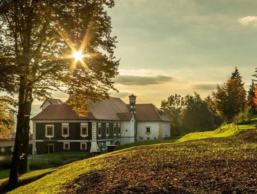 Kuca Za Odmor Freya Villa Krapinske Toplice Exterior foto